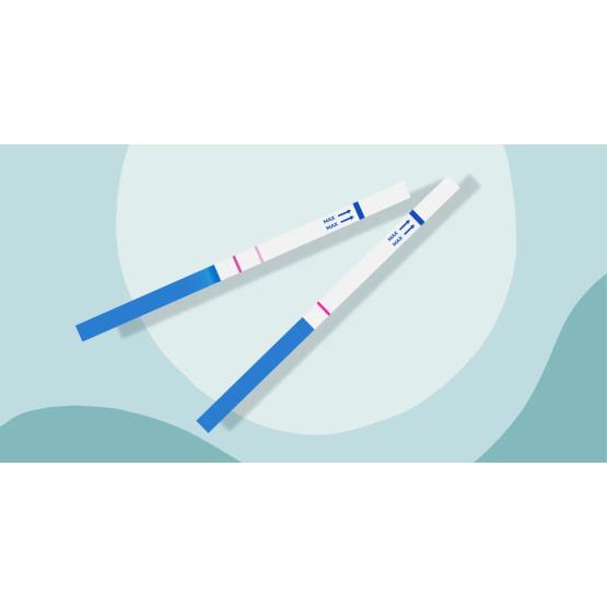 Ovulation Test