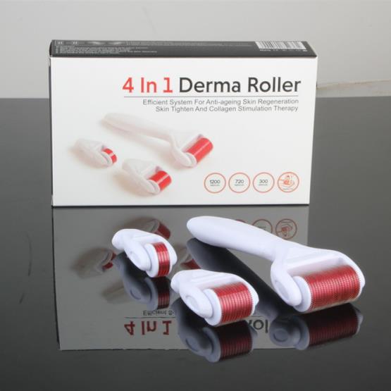 4IN1 DERMA ROLLER